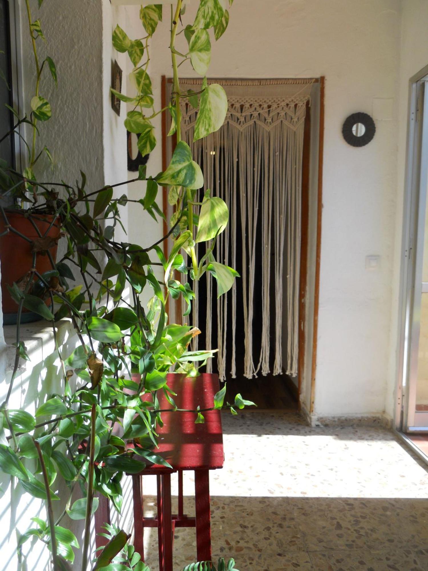 Naturalia: La Casita Con Patio Caceres Bagian luar foto