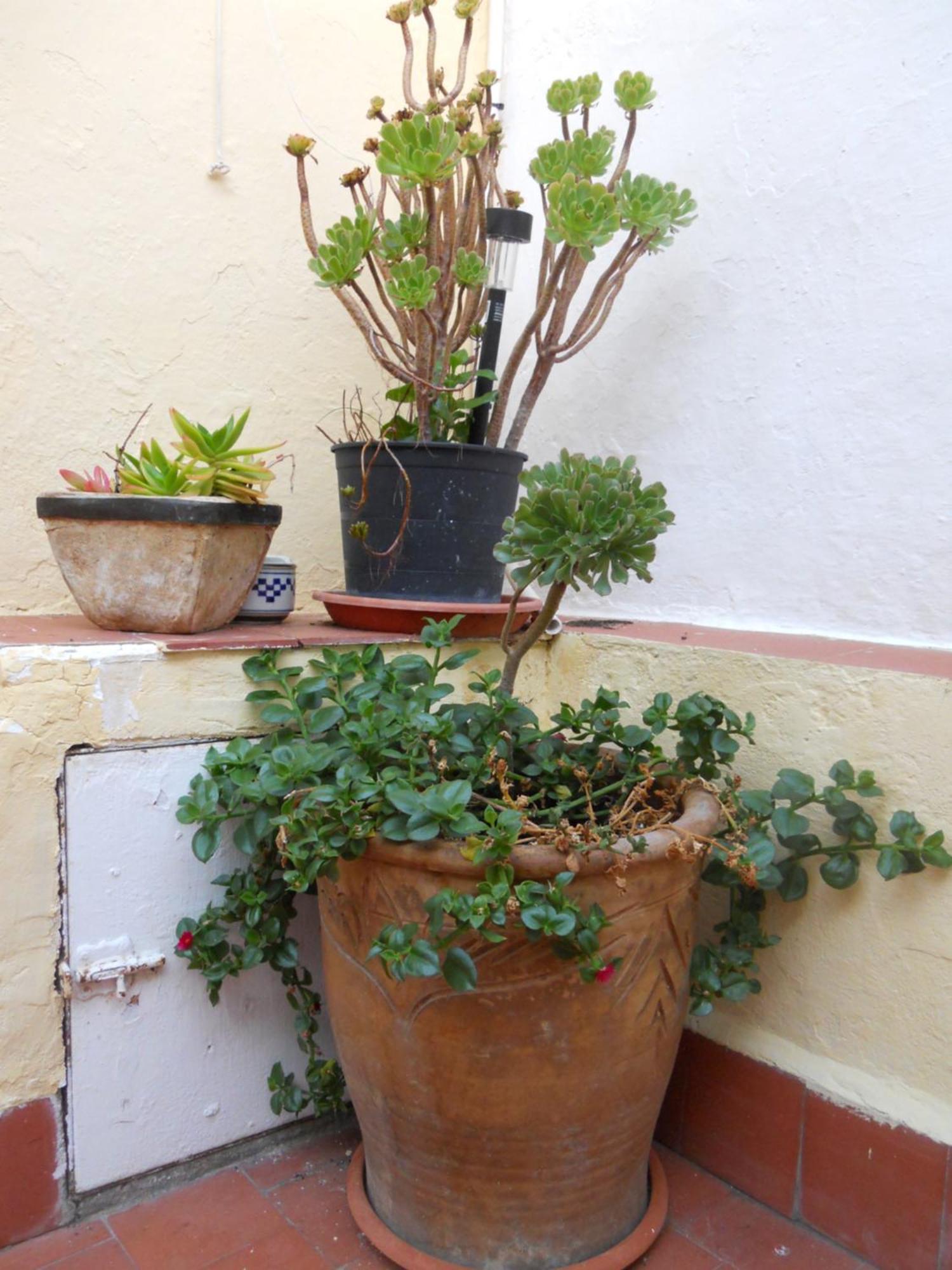 Naturalia: La Casita Con Patio Caceres Bagian luar foto